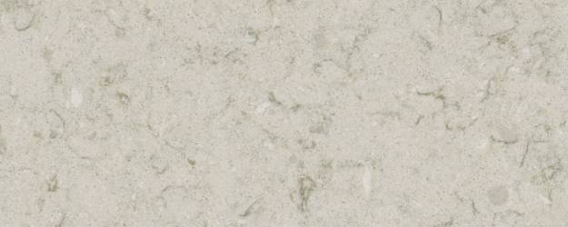 Wild Yucca / Technistone